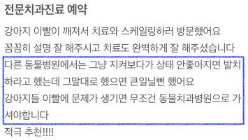깨진 치아 치료와 스케일링을 받은 강아지 보호자님의 후기