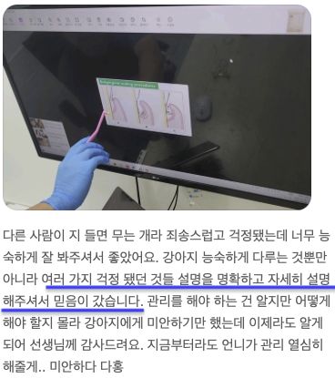 치과 진료 설명을 들은 강아지 보호자님의 후기