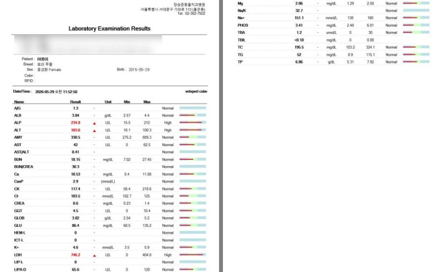 마취 전에 시행한 아롱이의 혈액검사 결과