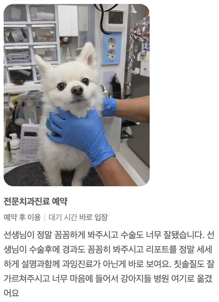 수술과 칫솔질 교육을 받은 강아지 보호자님의 후기