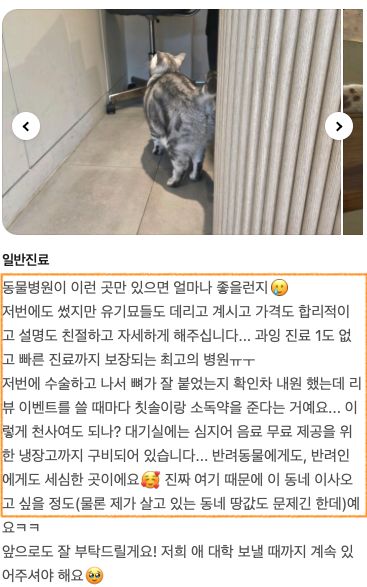 수술 후 경과 확인을 위해 내원한 고양이 보호자님의 후기