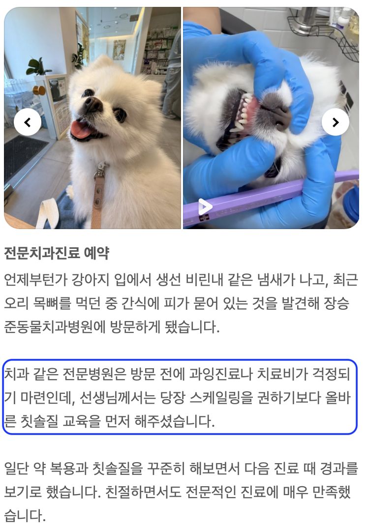 입냄새로 진료를 받은 강아지 보호자님의 후기