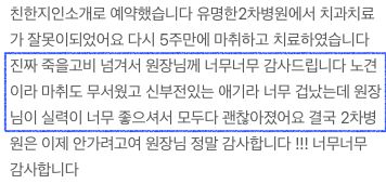치과 치료를 받은 노령 반려동물 보호자님의 후기