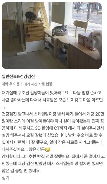 건강검진 후 스케일링과 발치를 받은 고양이 보호자님의 후기