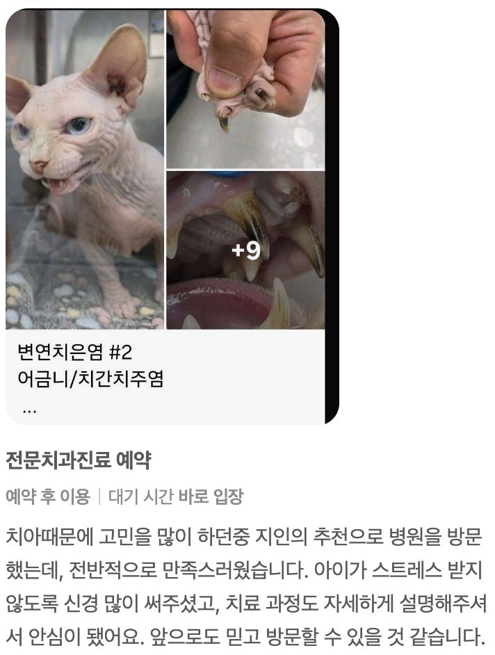 치과 진료를 받은 아이 보호자님의 후기