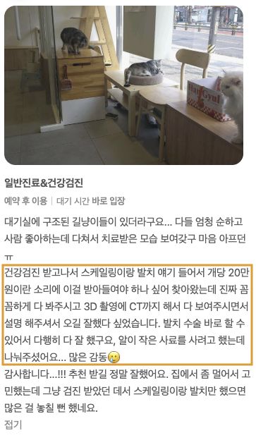 CT 검사 후 발치 수술을 받은 아이 보호자님의 후기