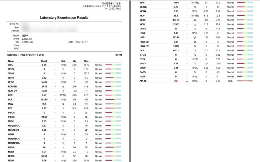 수술 전 진행한 만두의 혈액 검사 결과지