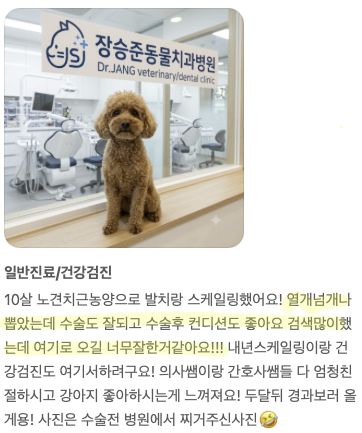 발치와 스케일링을 받은 10살 강아지 보호자님의 후기