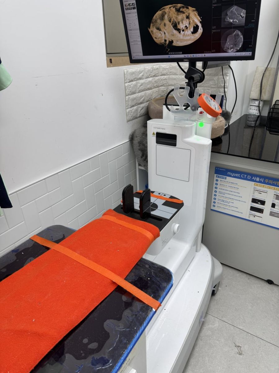 치과용 CT(CBCT) 촬영 장비