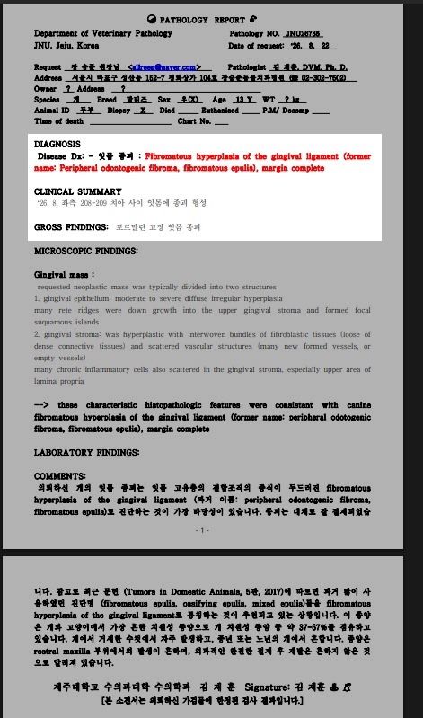 잇몸 종괴의 조직검사 결과지입니다.