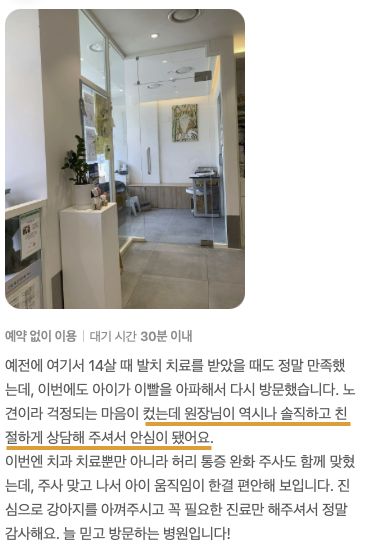 노령견 치과 치료를 받은 강아지 보호자님의 후기